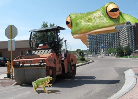 rollerfrog